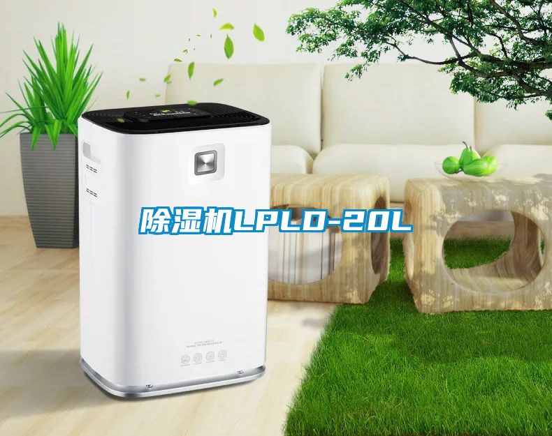 除濕機(jī)LPLD-20L