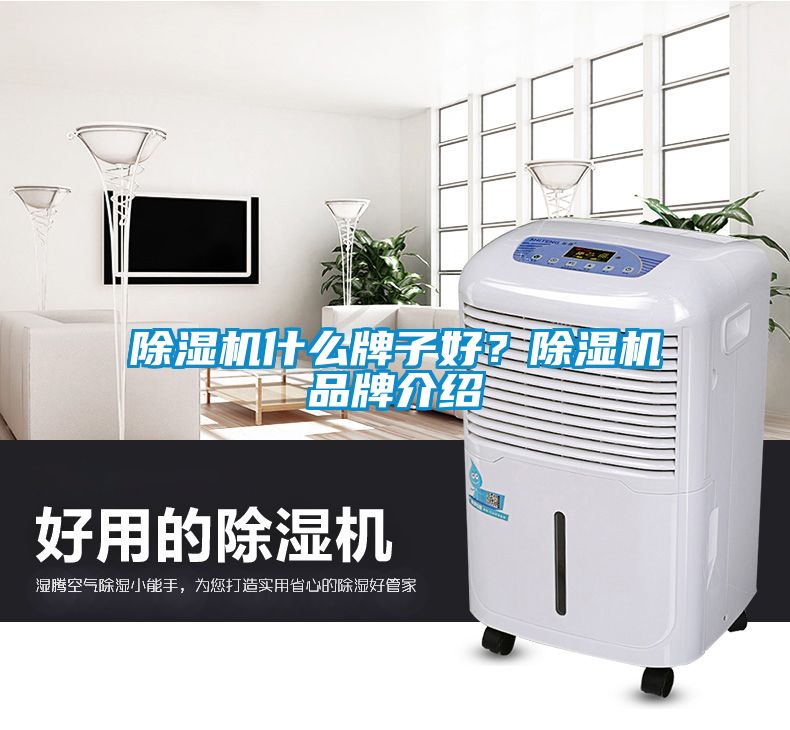 除濕機(jī)什么牌子好？除濕機(jī)品牌介紹