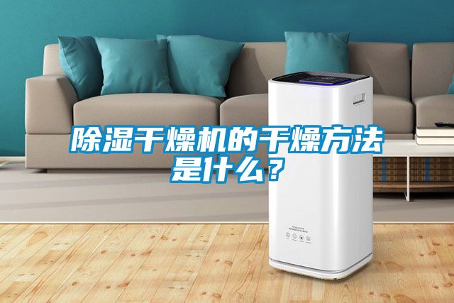 除濕干燥機的干燥方法是什么？