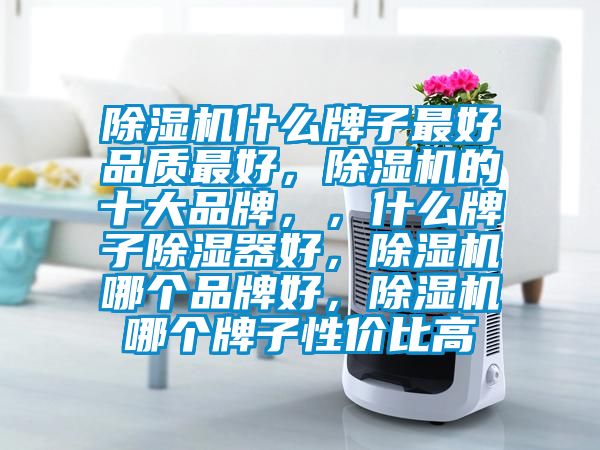 除濕機(jī)什么牌子最好品質(zhì)最好，除濕機(jī)的十大品牌，，什么牌子除濕器好，除濕機(jī)哪個(gè)品牌好，除濕機(jī)哪個(gè)牌子性價(jià)比高