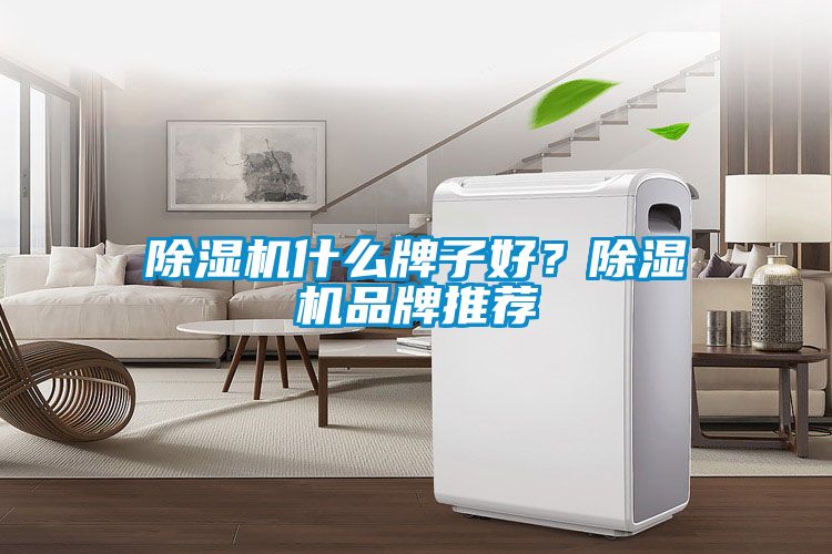 除濕機什么牌子好？除濕機品牌推薦