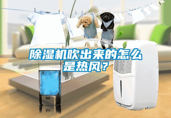 除濕機吹出來的怎么是熱風(fēng)？