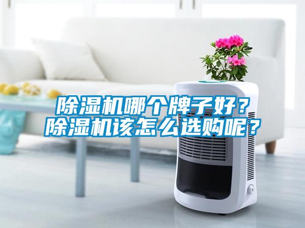 除濕機哪個牌子好？除濕機該怎么選購呢？