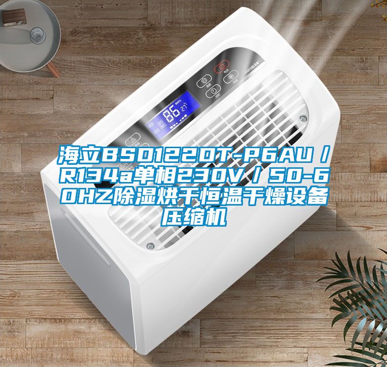 海立BSD122DT-P6AU／R134a單相230V／50-60HZ除濕烘干恒溫干燥設(shè)備壓縮機