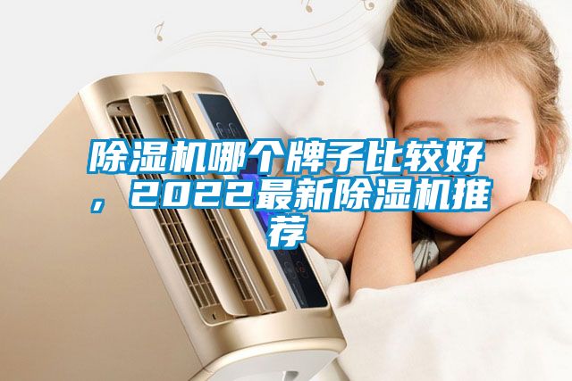 除濕機哪個牌子比較好，2022最新除濕機推薦