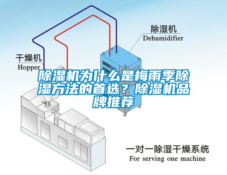 除濕機為什么是梅雨季除濕方法的首選？除濕機品牌推薦