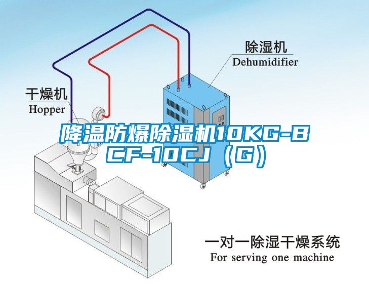 降溫防爆除濕機(jī)10KG-BCF-10CJ（G）