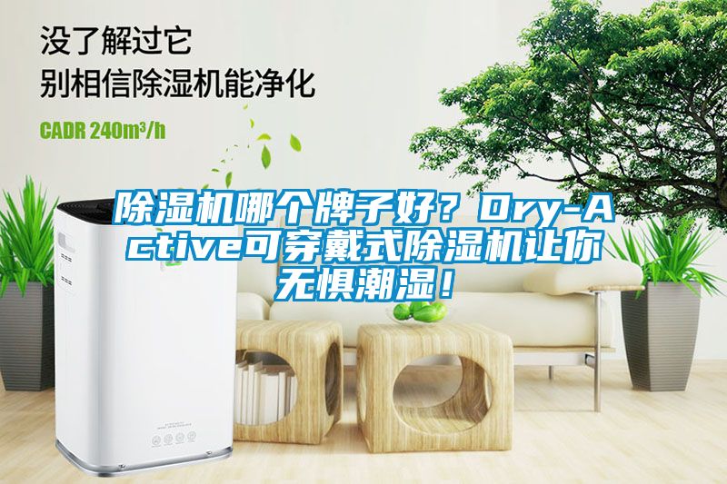 除濕機哪個牌子好？Dry-Active可穿戴式除濕機讓你無懼潮濕！