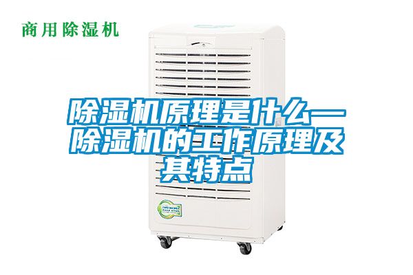 除濕機原理是什么—除濕機的工作原理及其特點