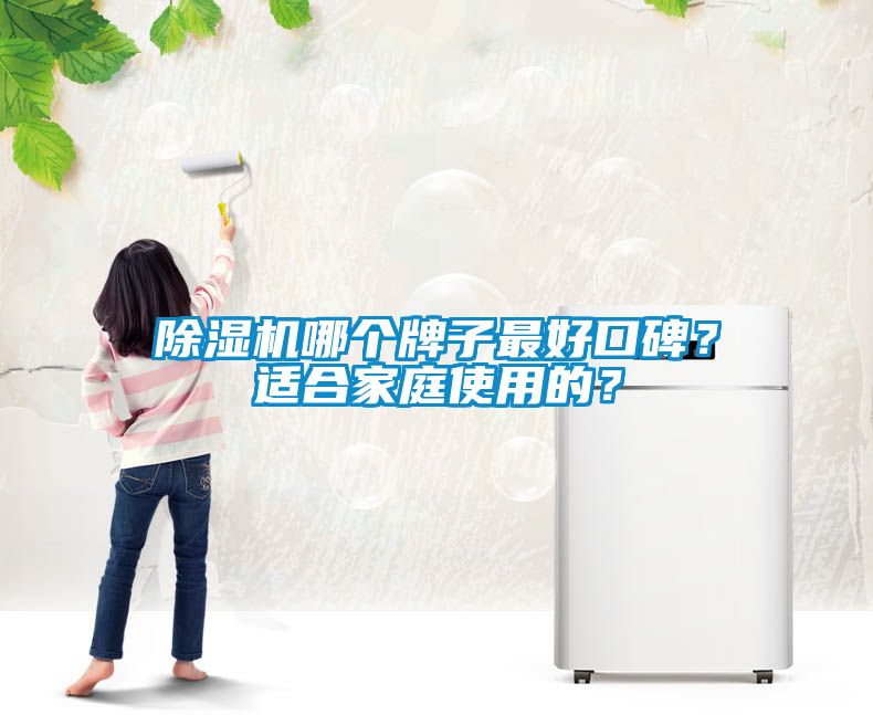 除濕機哪個牌子最好口碑？適合家庭使用的？