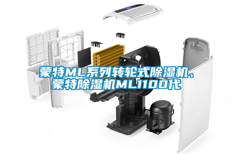 蒙特ML系列轉(zhuǎn)輪式除濕機、蒙特除濕機ML1100代