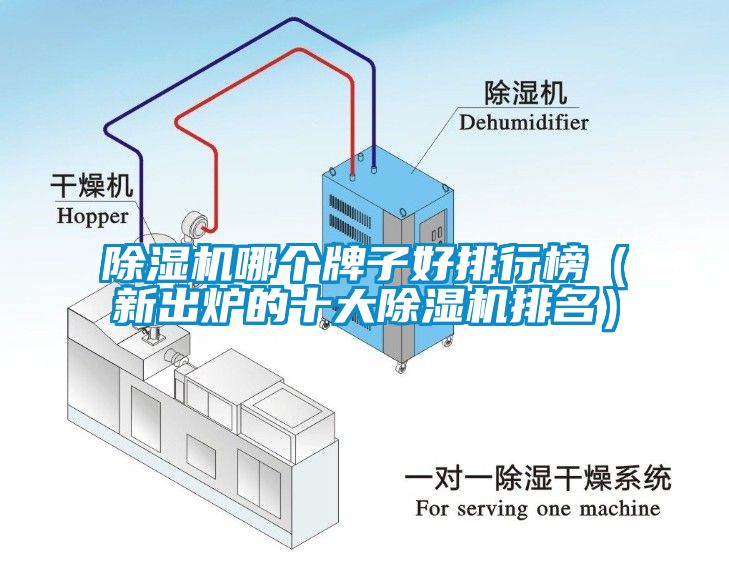 除濕機(jī)哪個牌子好排行榜（新出爐的十大除濕機(jī)排名）