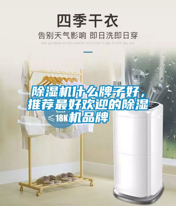 除濕機(jī)什么牌子好，推薦最好歡迎的除濕機(jī)品牌