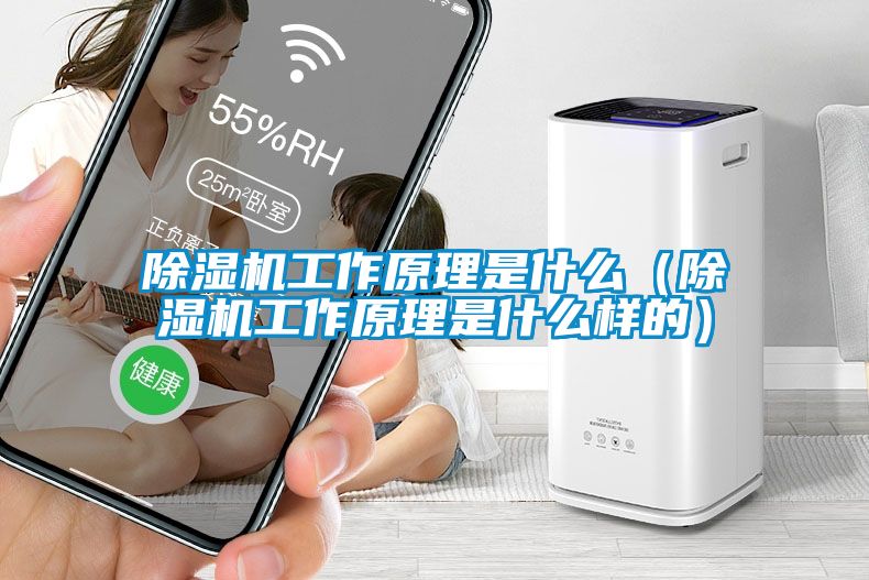 除濕機工作原理是什么（除濕機工作原理是什么樣的）