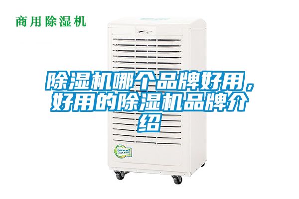 除濕機哪個品牌好用，好用的除濕機品牌介紹