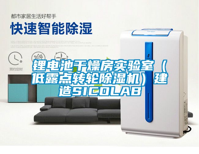 鋰電池干燥房實驗室（低露點轉(zhuǎn)輪除濕機）建造SICOLAB