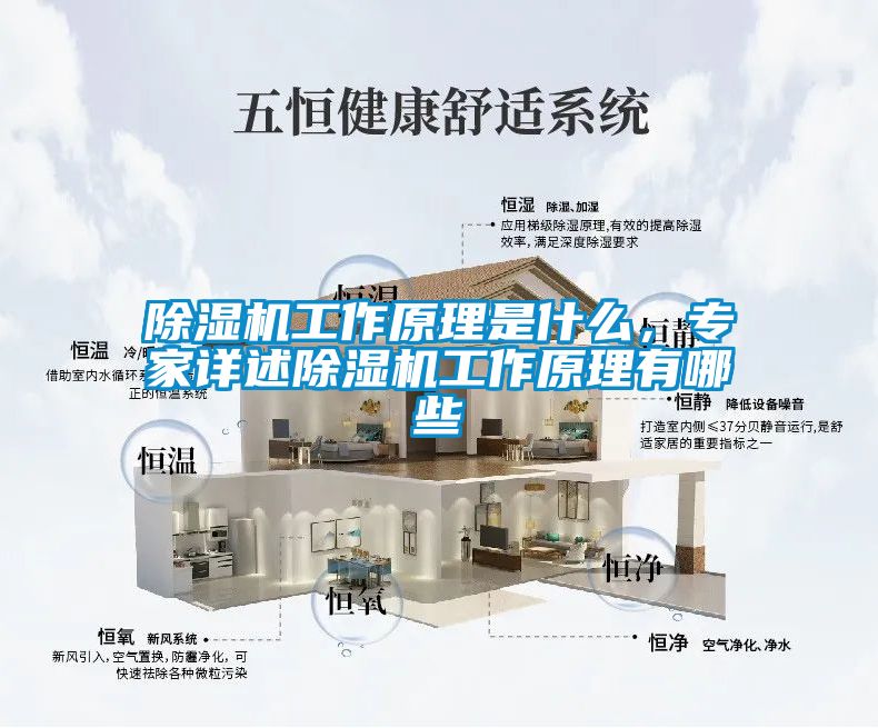 除濕機工作原理是什么，專家詳述除濕機工作原理有哪些