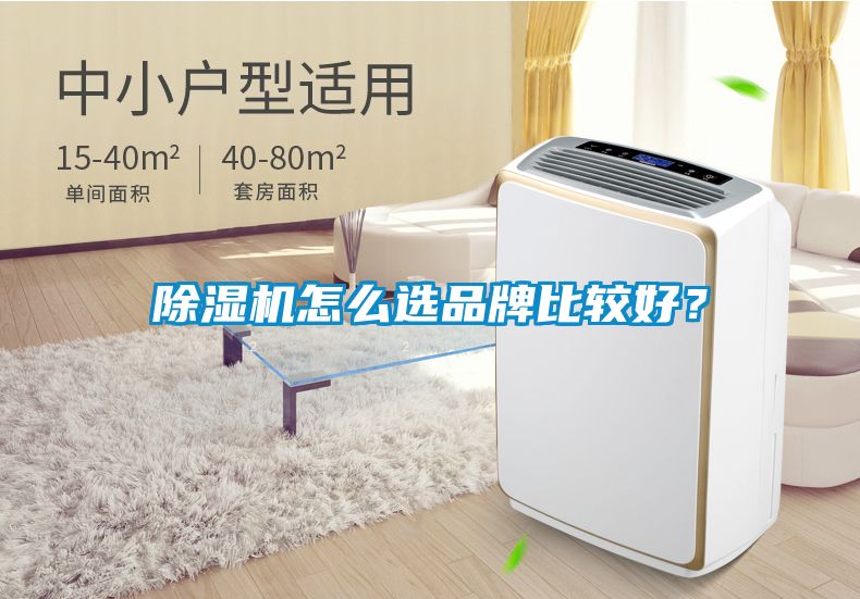 除濕機怎么選品牌比較好？