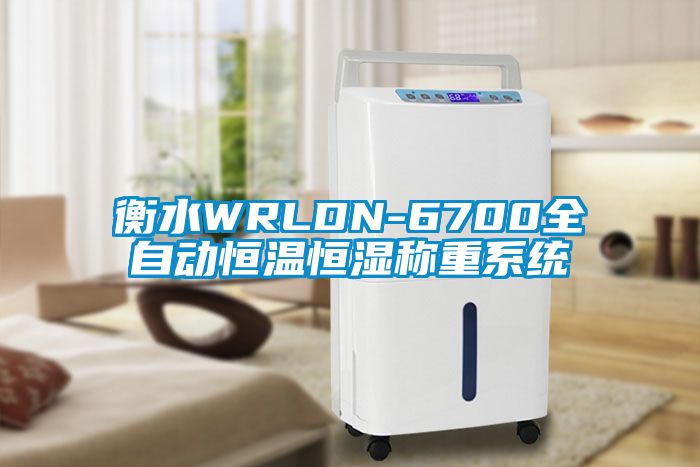 衡水WRLDN-6700全自動恒溫恒濕稱重系統(tǒng)