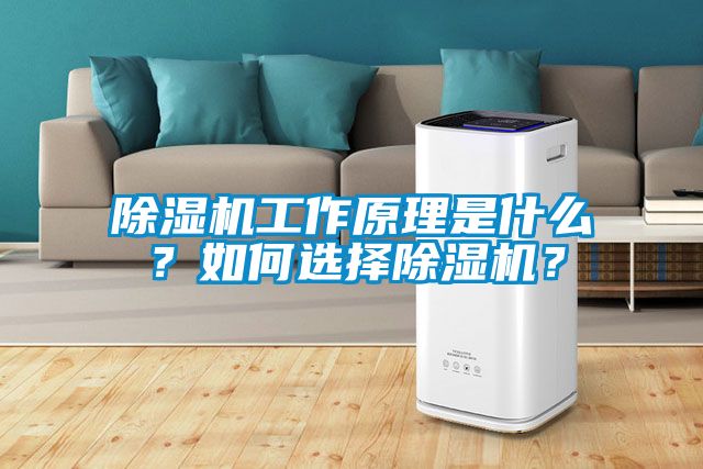 除濕機(jī)工作原理是什么？如何選擇除濕機(jī)？