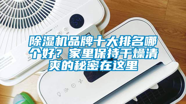 除濕機品牌十大排名哪個好？家里保持干燥清爽的秘密在這里