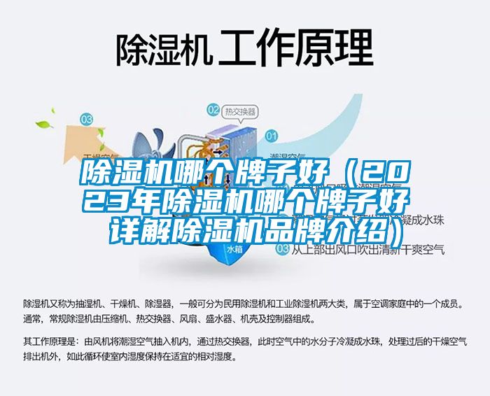 除濕機(jī)哪個牌子好（2023年除濕機(jī)哪個牌子好 詳解除濕機(jī)品牌介紹）