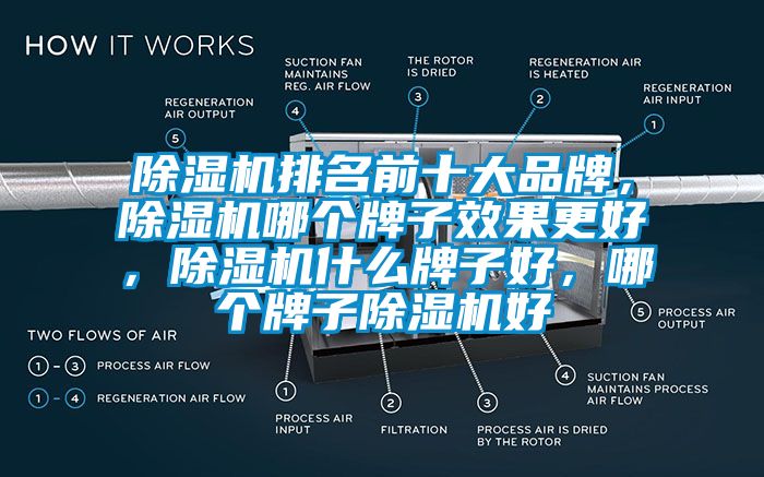 除濕機(jī)排名前十大品牌，除濕機(jī)哪個(gè)牌子效果更好，除濕機(jī)什么牌子好，哪個(gè)牌子除濕機(jī)好