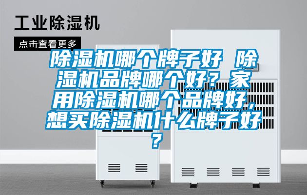 除濕機哪個牌子好 除濕機品牌哪個好？家用除濕機哪個品牌好，想買除濕機什么牌子好？