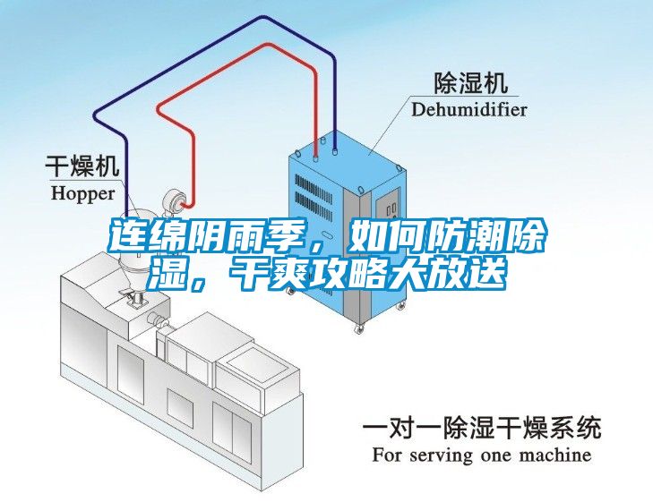 連綿陰雨季，如何防潮除濕，干爽攻略大放送