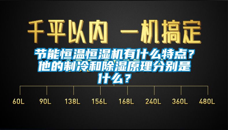 節(jié)能恒溫恒濕機(jī)有什么特點(diǎn)？他的制冷和除濕原理分別是什么？