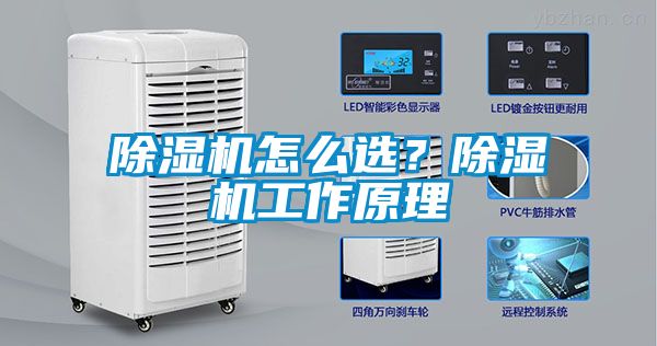 除濕機(jī)怎么選？除濕機(jī)工作原理