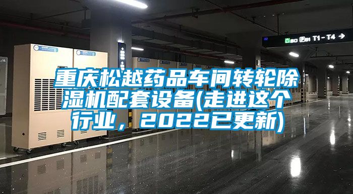 重慶松越藥品車間轉輪除濕機配套設備(走進這個行業(yè)，2022已更新)