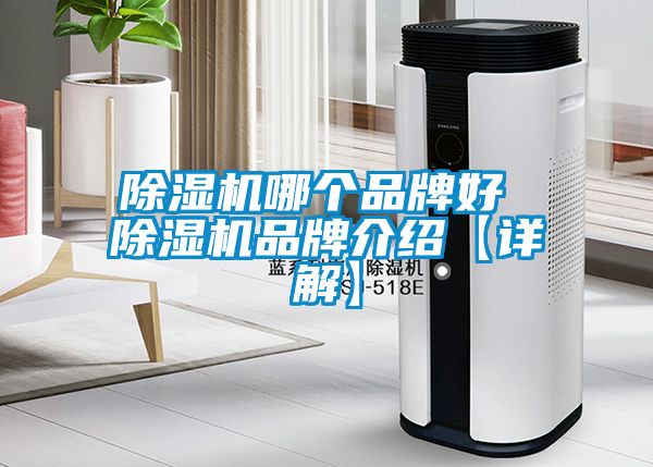 除濕機哪個品牌好 除濕機品牌介紹【詳解】