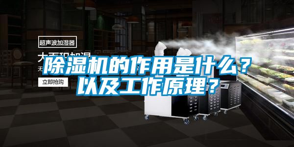 除濕機的作用是什么？以及工作原理？