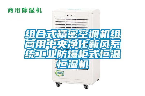 組合式精密空調機組商用中央凈化新風系統(tǒng)工業(yè)防爆柜式恒溫恒濕機