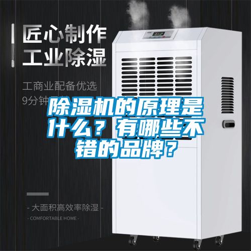 除濕機(jī)的原理是什么？有哪些不錯(cuò)的品牌？