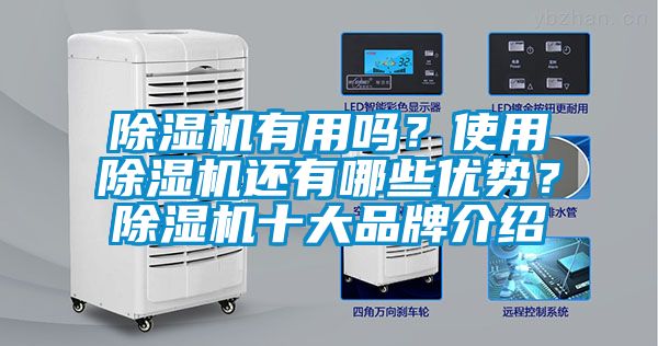 除濕機(jī)有用嗎？使用除濕機(jī)還有哪些優(yōu)勢(shì)？除濕機(jī)十大品牌介紹