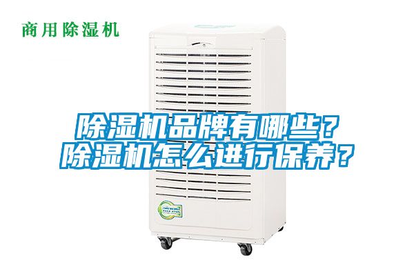 除濕機品牌有哪些？除濕機怎么進行保養(yǎng)？