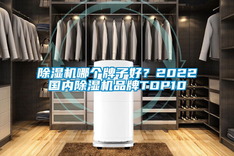 除濕機(jī)哪個(gè)牌子好？2022國內(nèi)除濕機(jī)品牌TOP10