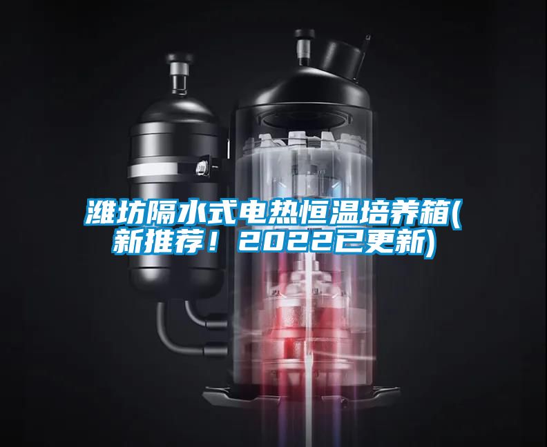 濰坊隔水式電熱恒溫培養(yǎng)箱(新推薦！2022已更新)