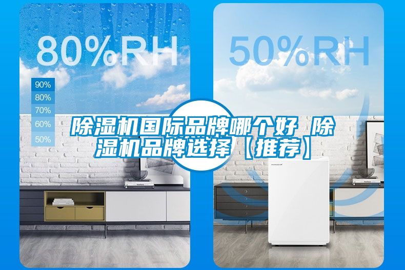 除濕機國際品牌哪個好 除濕機品牌選擇【推薦】