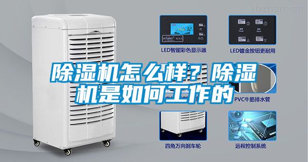 除濕機(jī)怎么樣？除濕機(jī)是如何工作的