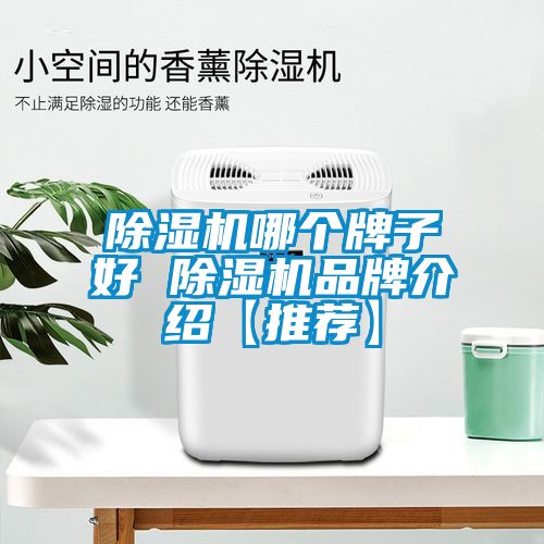 除濕機(jī)哪個(gè)牌子好 除濕機(jī)品牌介紹【推薦】