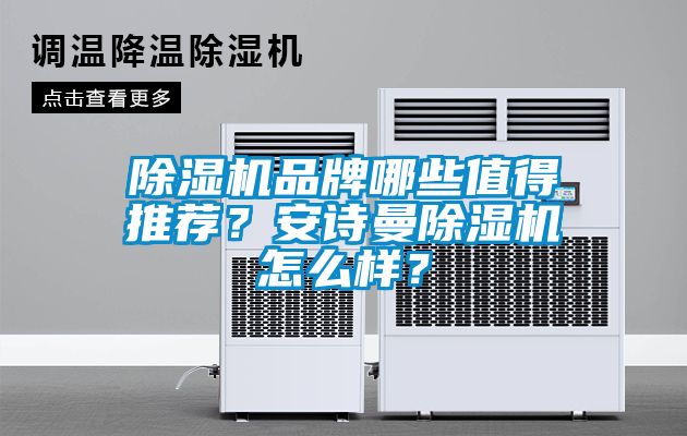 除濕機品牌哪些值得推薦？安詩曼除濕機怎么樣？