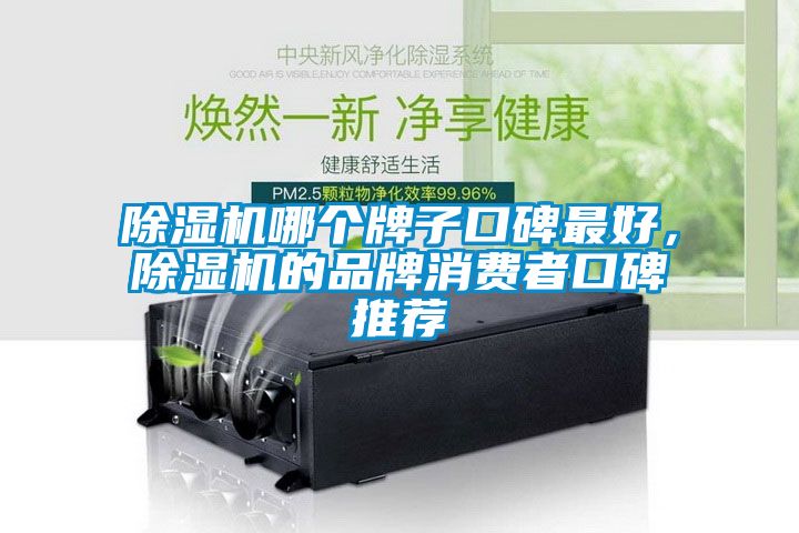 除濕機哪個牌子口碑最好，除濕機的品牌消費者口碑推薦