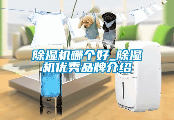 除濕機哪個好_除濕機優(yōu)秀品牌介紹