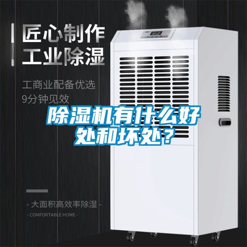 除濕機有什么好處和壞處？