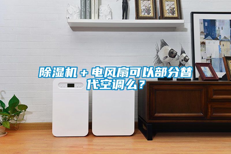 除濕機＋電風扇可以部分替代空調(diào)么？