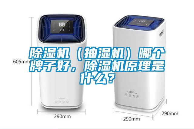 除濕機（抽濕機）哪個牌子好，除濕機原理是什么？