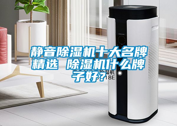 靜音除濕機十大名牌精選 除濕機什么牌子好？